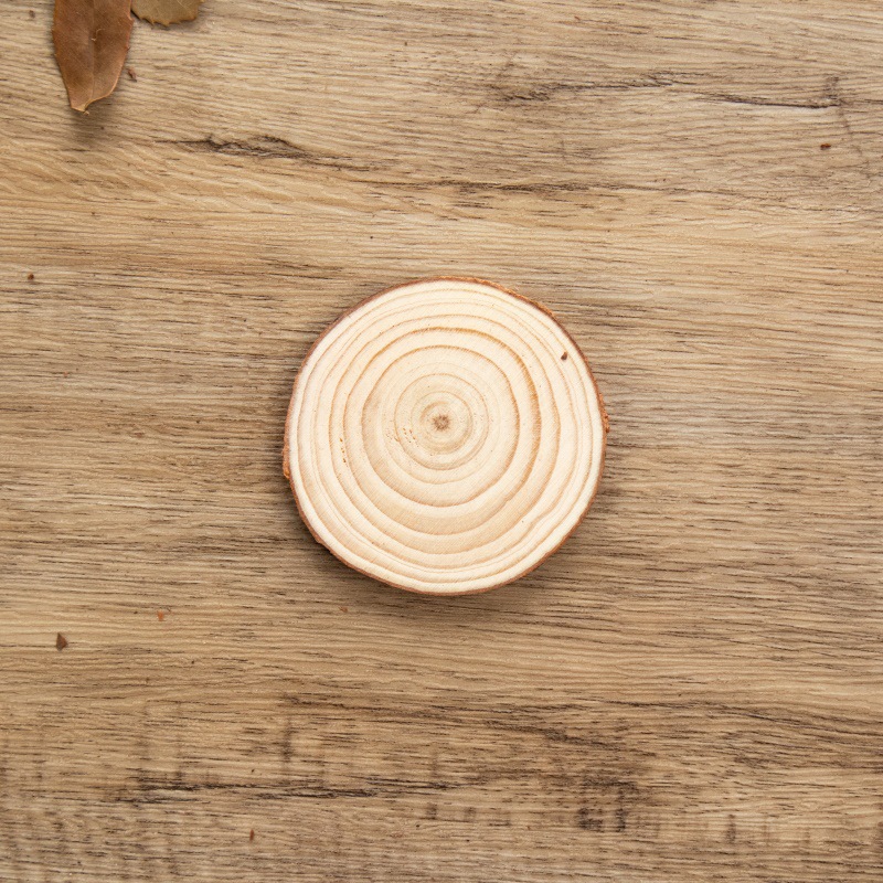 IMG_9041