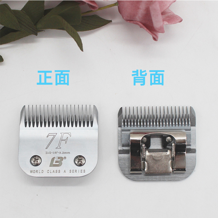 正面背面2