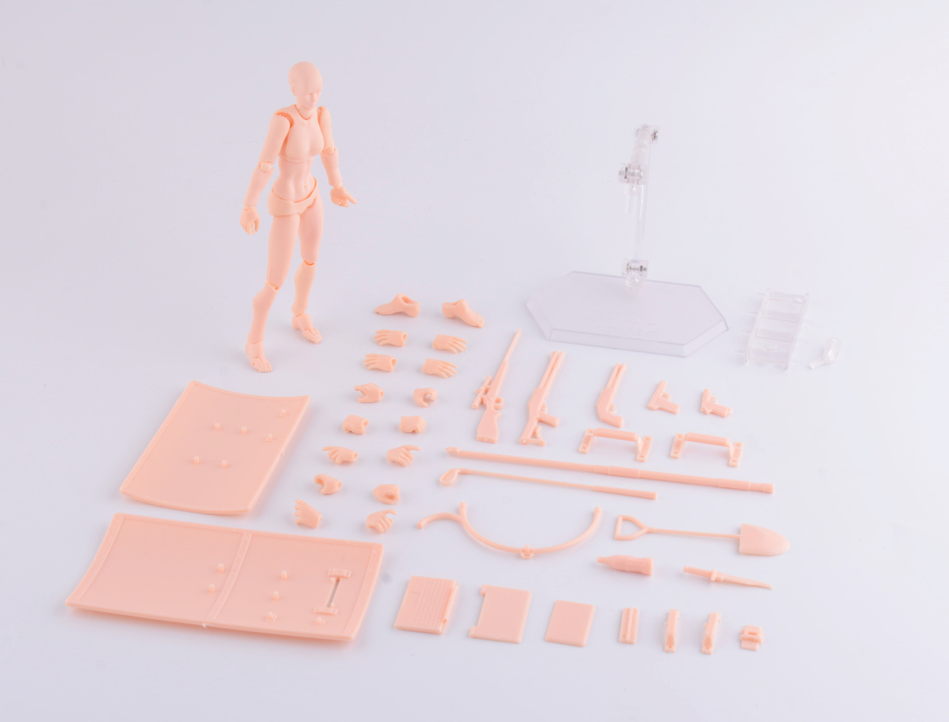 10966838693_193309929