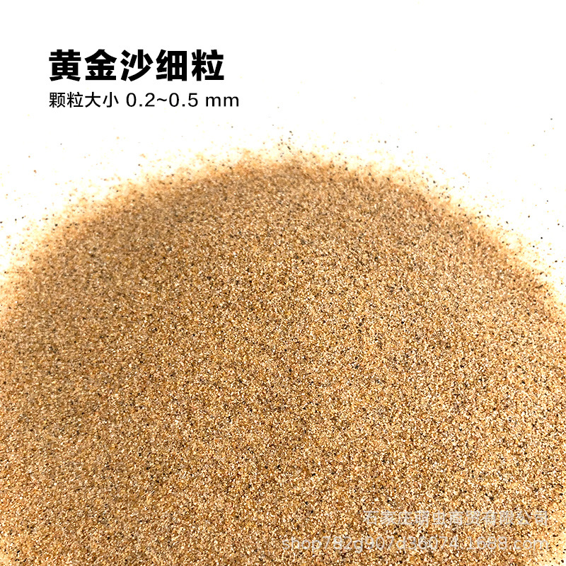 D_0017_黄金沙细粒.jpg