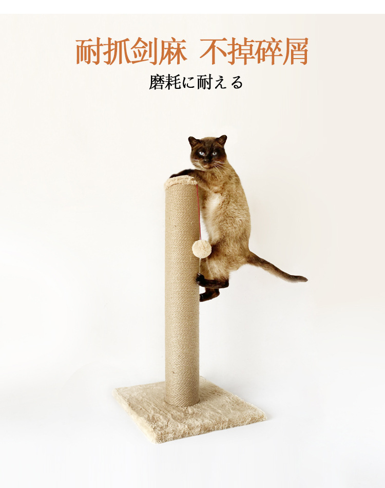 详情7.jpg