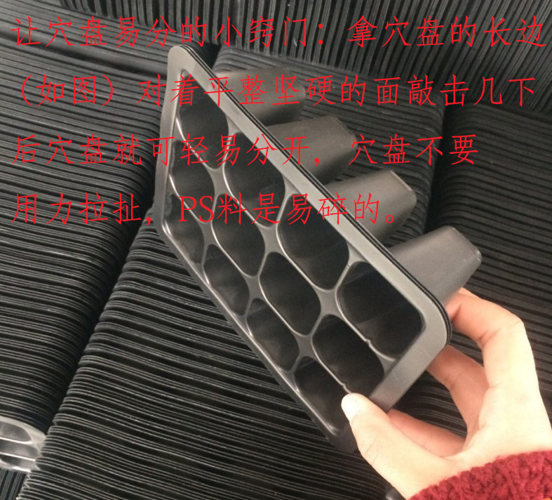 分开穴盘