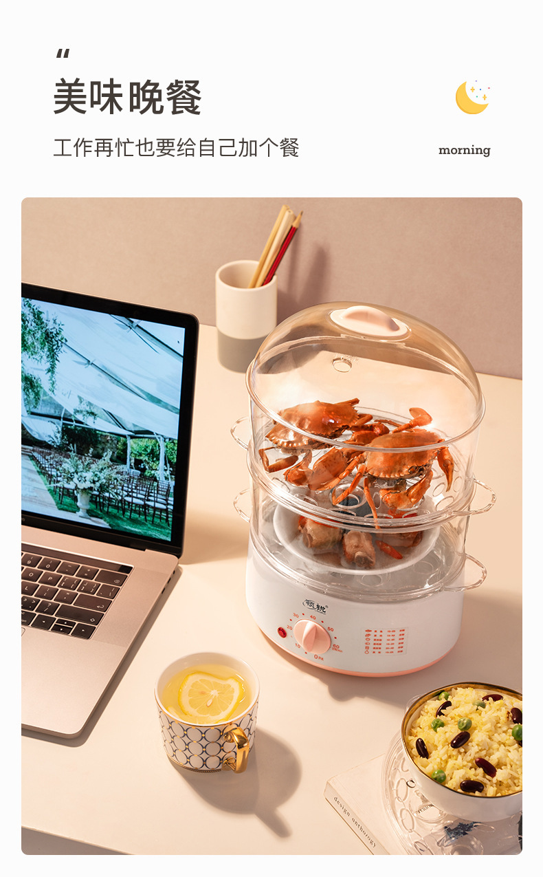 领锐电热蒸笼_10