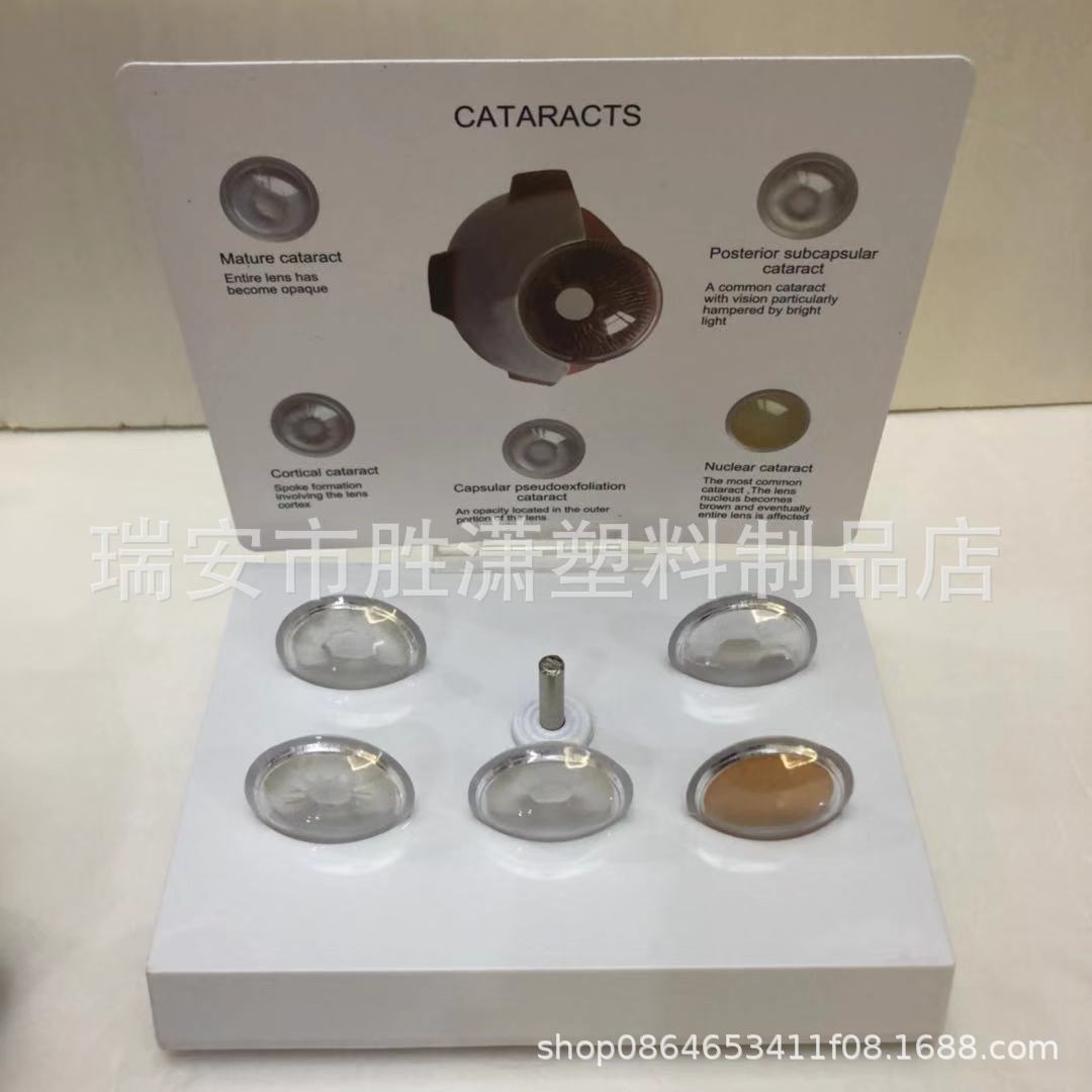 63c638ae42c42731784eafe4748889