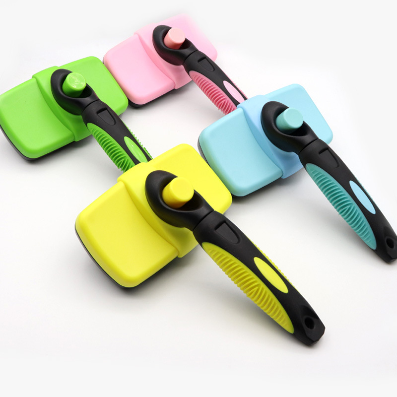 20190609101112_IMG_0970