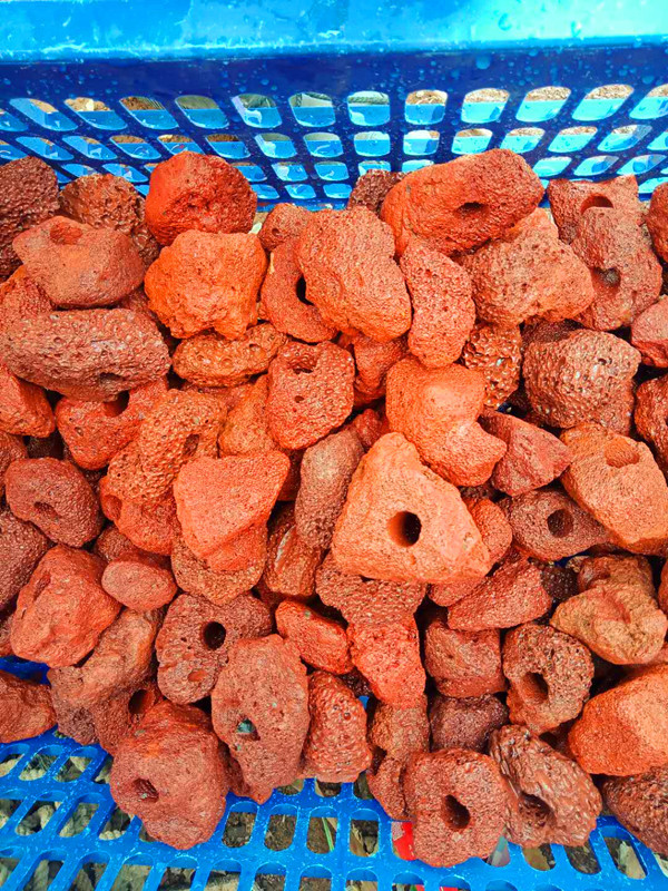 微信图片_20200317110645