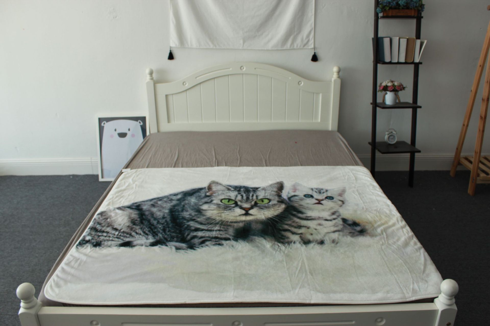 小猫