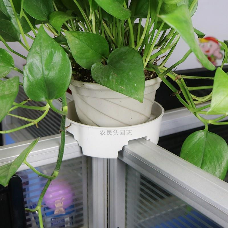 O1CN01y2lqQM1xHUYak9ehg-187852