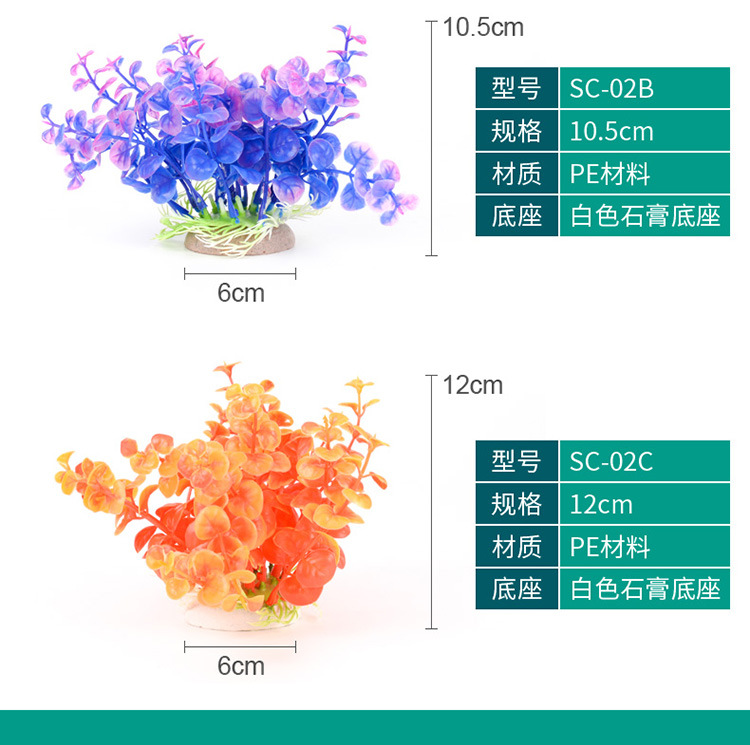 水草-详情750_11.jpg