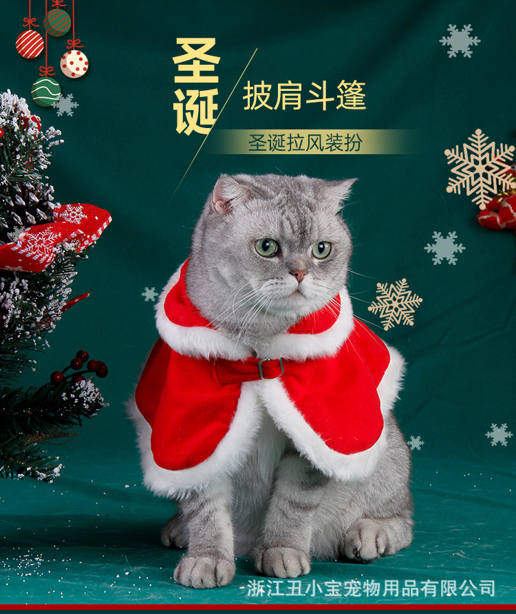详情-_01.jpg