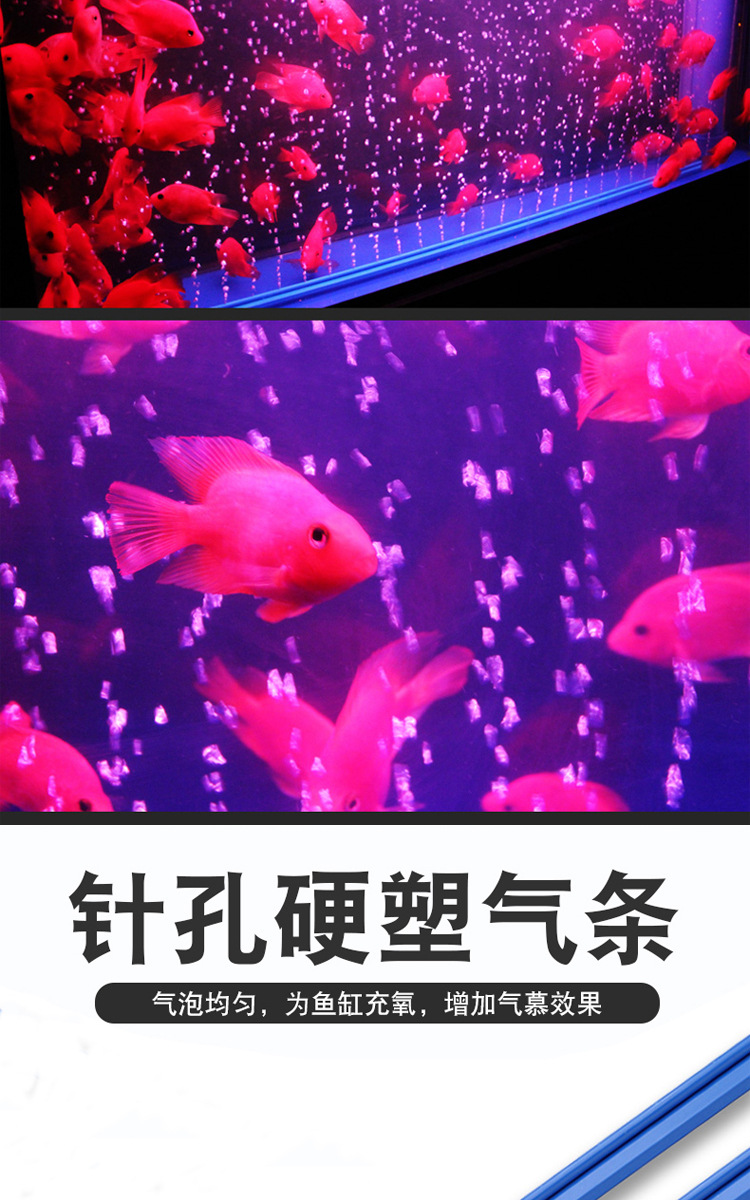 气泡条详情