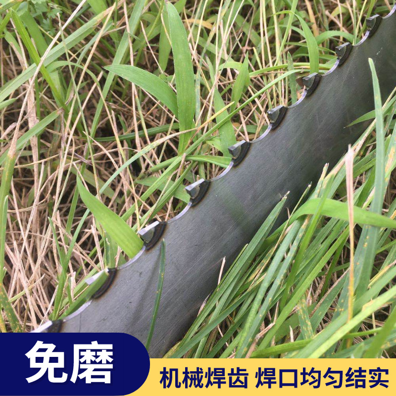 老杨-合金锯-主图2_主图_直通车_2020-10-22-0