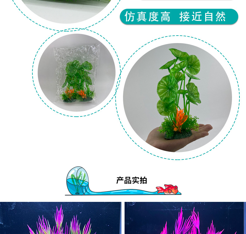 详情_03.jpg
