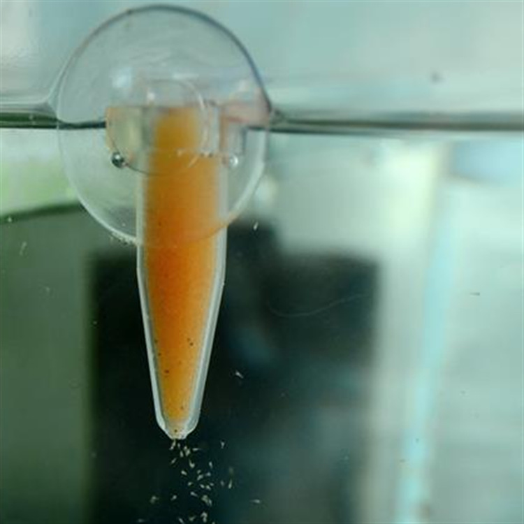 微信图片_20200620102236_副本