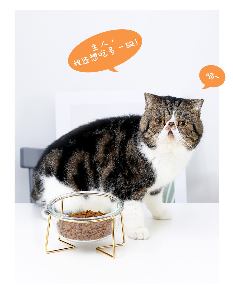 金架玻璃猫碗_11.jpg