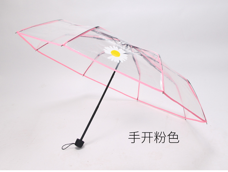 小雏菊伞_11.jpg