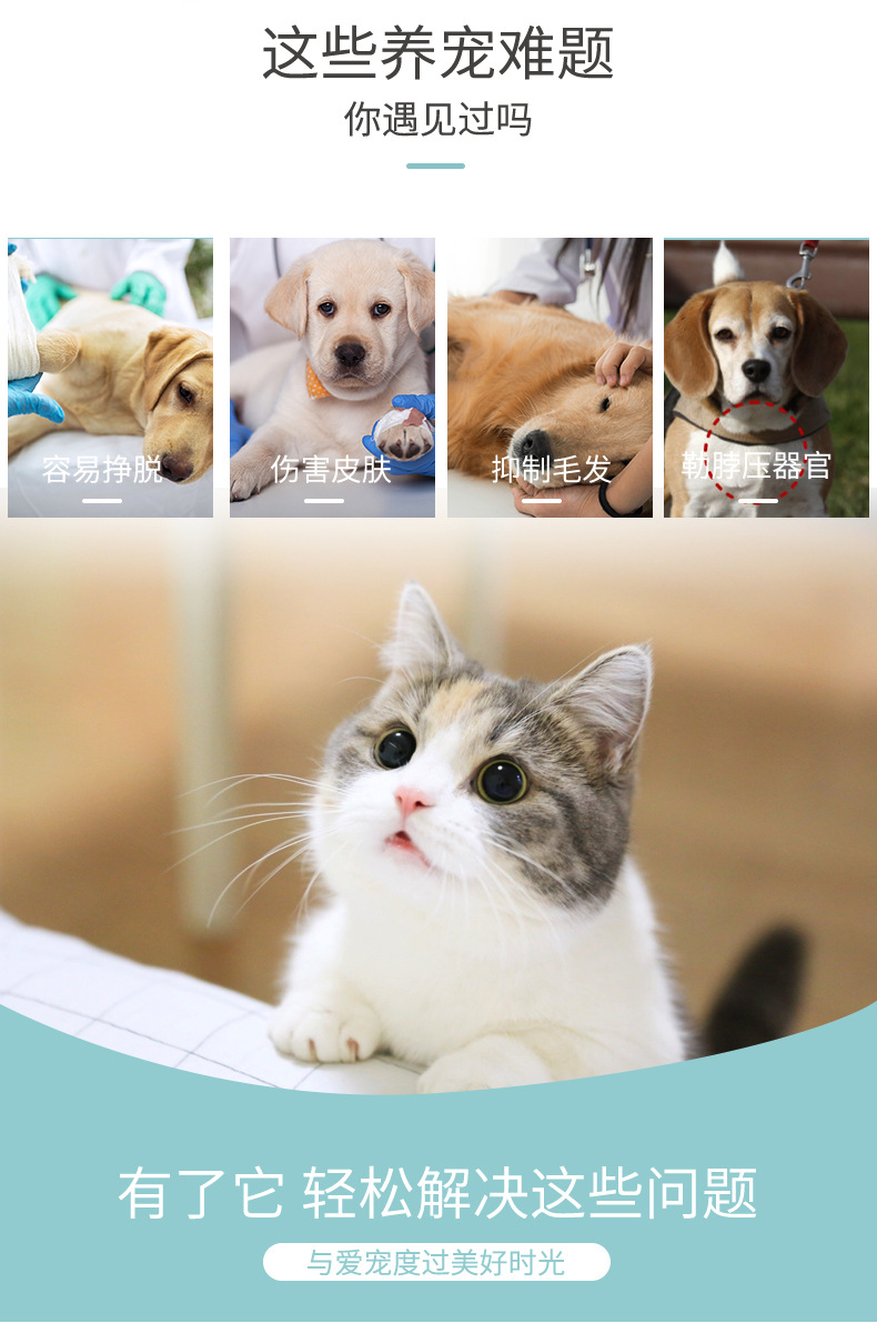 麂皮绒（公司）_07