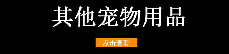 宠物
