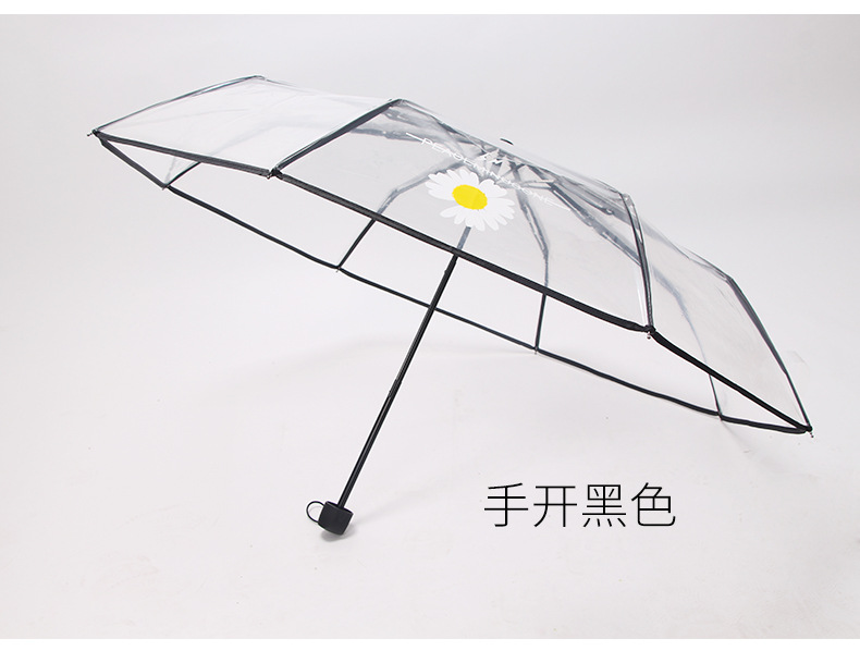 小雏菊伞_09.jpg