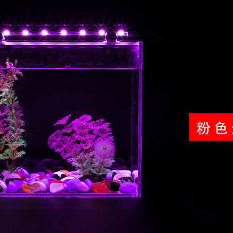 0a4f158ba6f29ee30349d2de62d26e