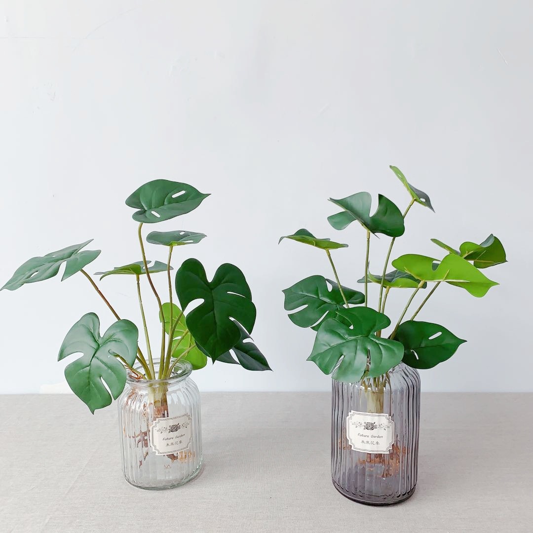 bc9e64754d5b8c48b8c68b3c88cf0b