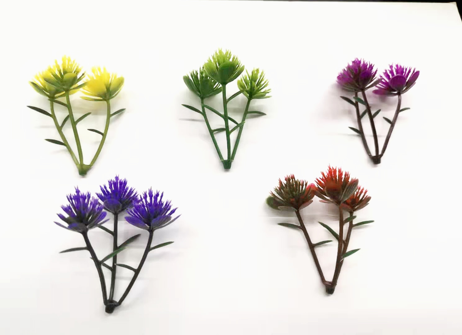 图片_20191213110603_副本