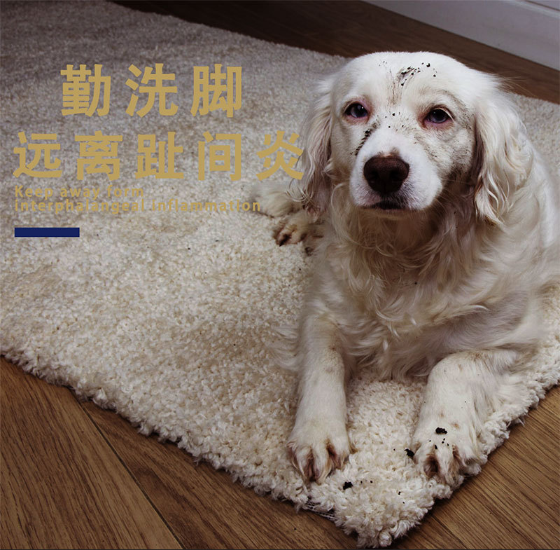 宠物洗脚杯详情页第四版---副本_02