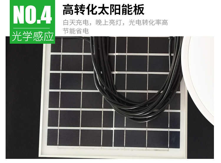 11422113498_2123617675