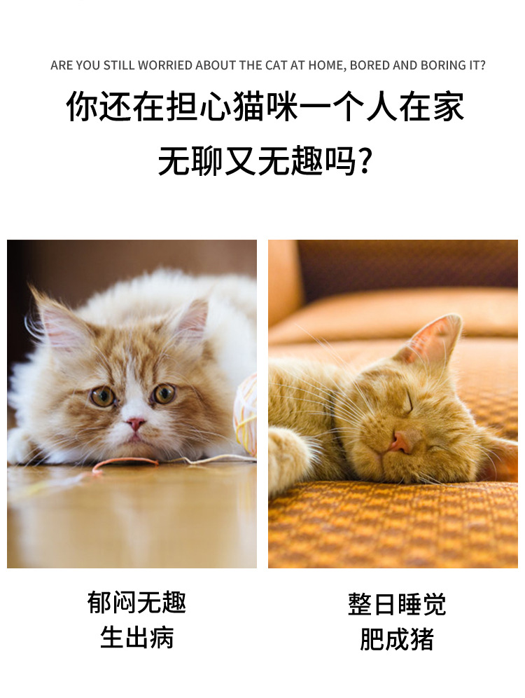薄荷鱼详情页_02.jpg