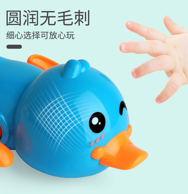 长嘴鸭子_06