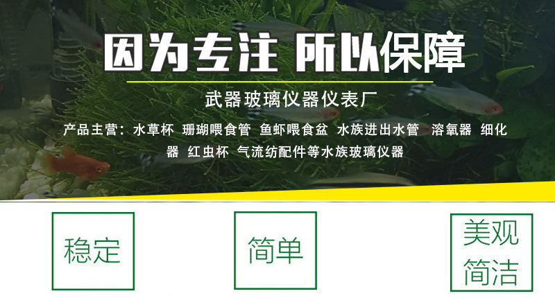 2345_image_file_copy_6