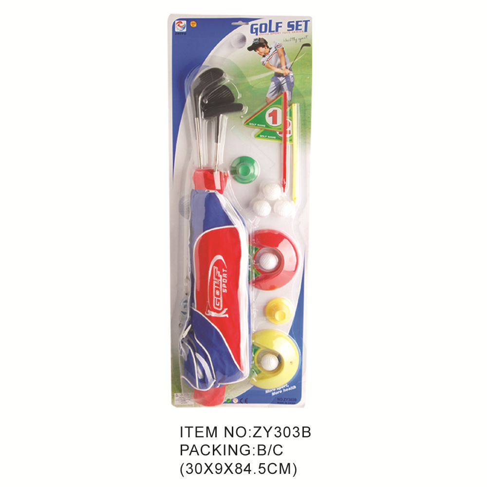 ZY303B