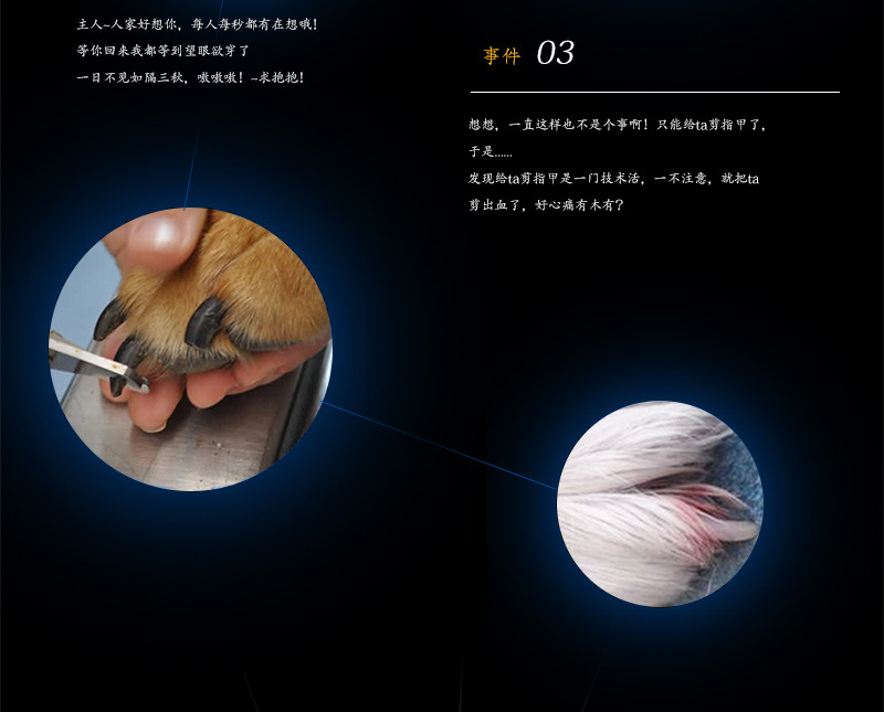 PFS101宠物磨甲器(电池款) (4).jpg