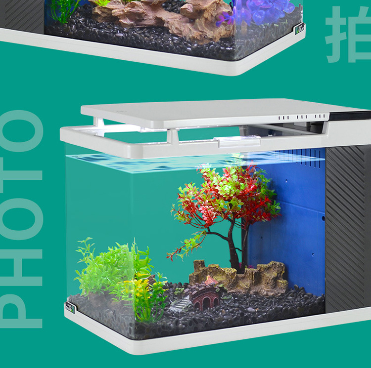 水草-详情750_14.jpg