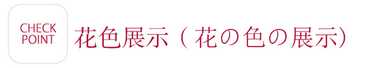 描述3.jpg