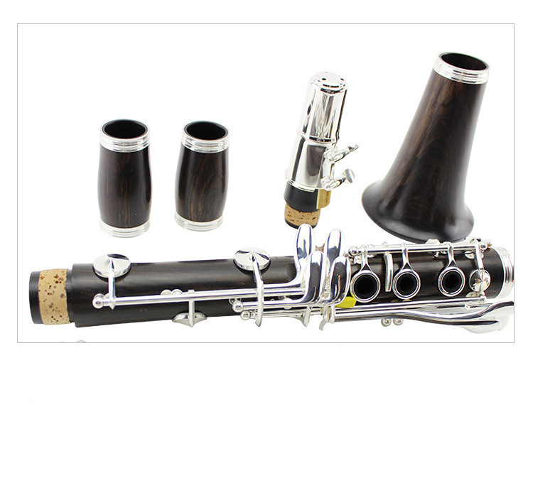 8396086546_1690132740