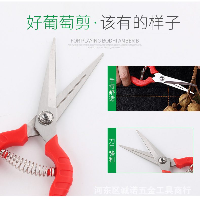 O1CN01fcm4Bn1ssyojtt7Nt_!!3408