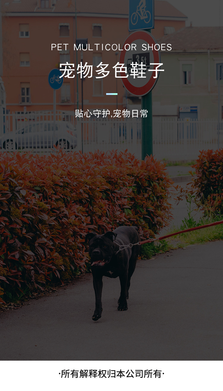 加绒不加绒狗鞋_18.jpg