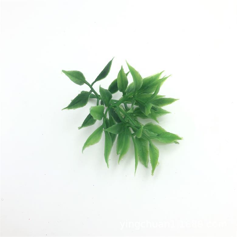 2020-06-03 170901.jpg