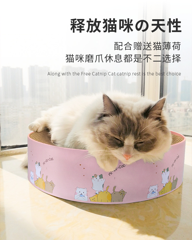 猫抓板窝_05.png