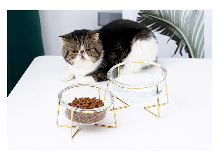 金架玻璃猫碗_14.jpg