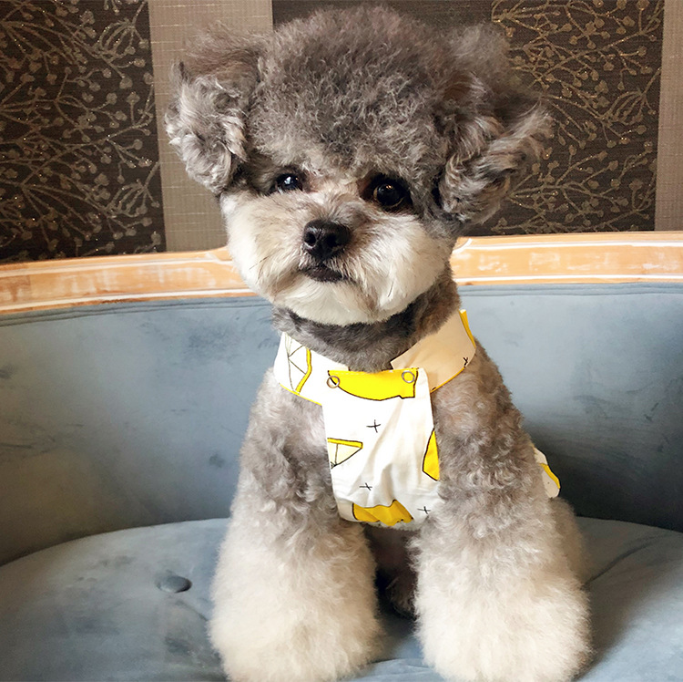 750x750-二脚衣---四色蝴蝶裙_07