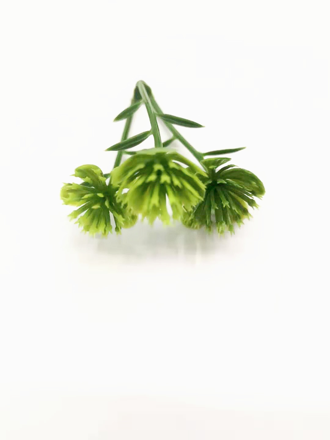 图片_20191213110610_副本