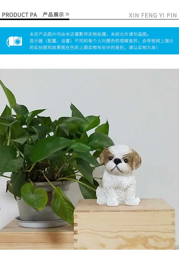 小西施幼犬_06.jpg