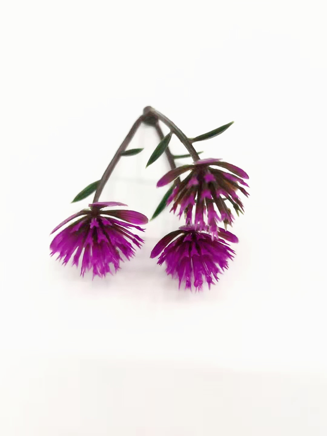 图片_20191213110552_副本