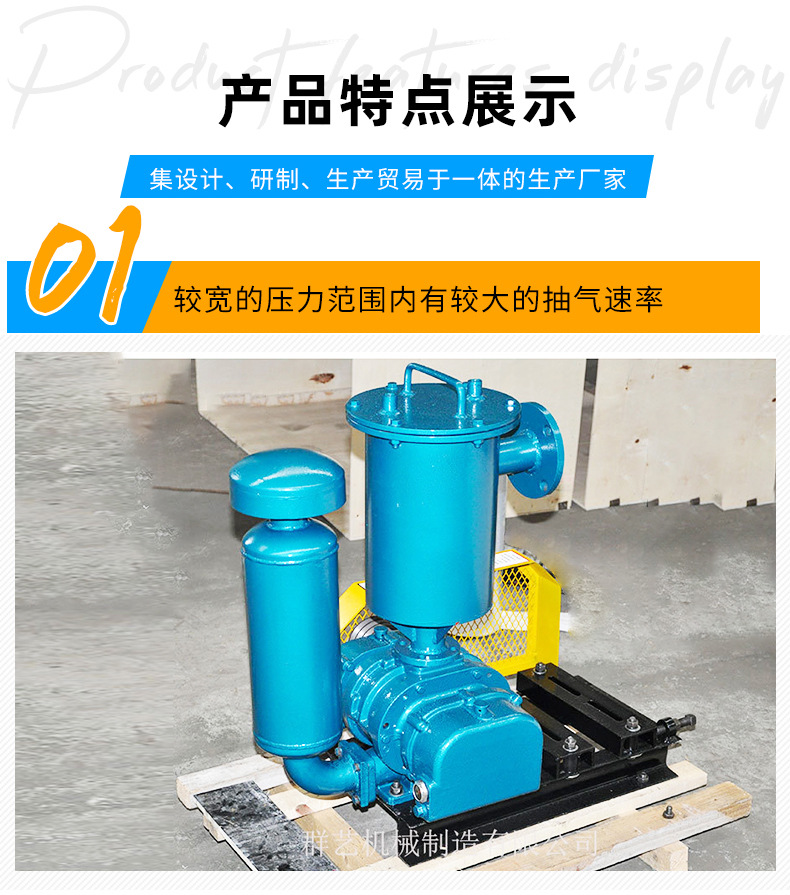 罗茨真空泵_04