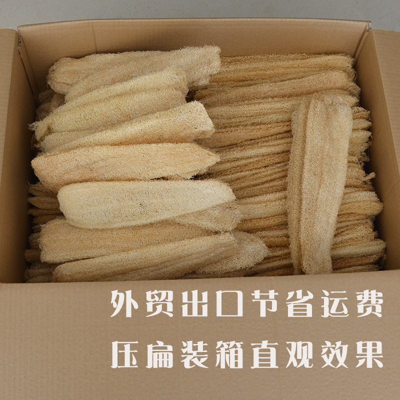 小丝瓜-23.jpg