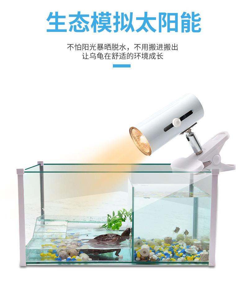 乌龟灯_02.jpg