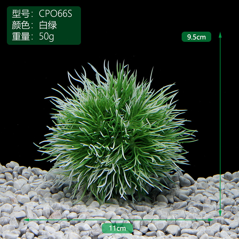 CPO66S白绿.jpg