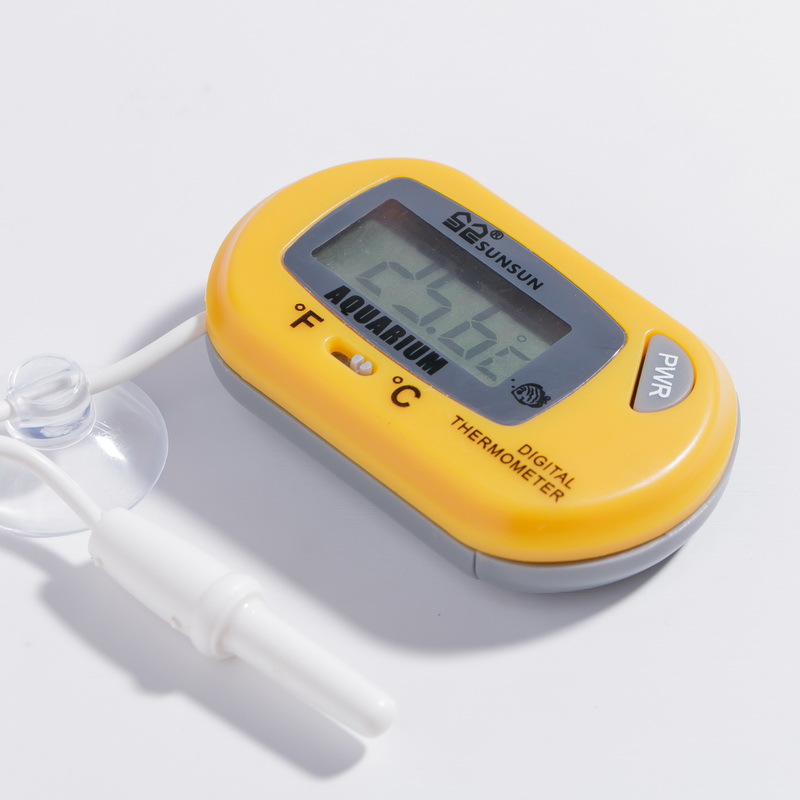 TB28_kNkr4npuFjSZFmXXXl4FXa_!!